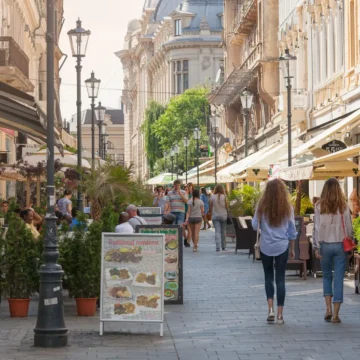 Vrem țara înapoi